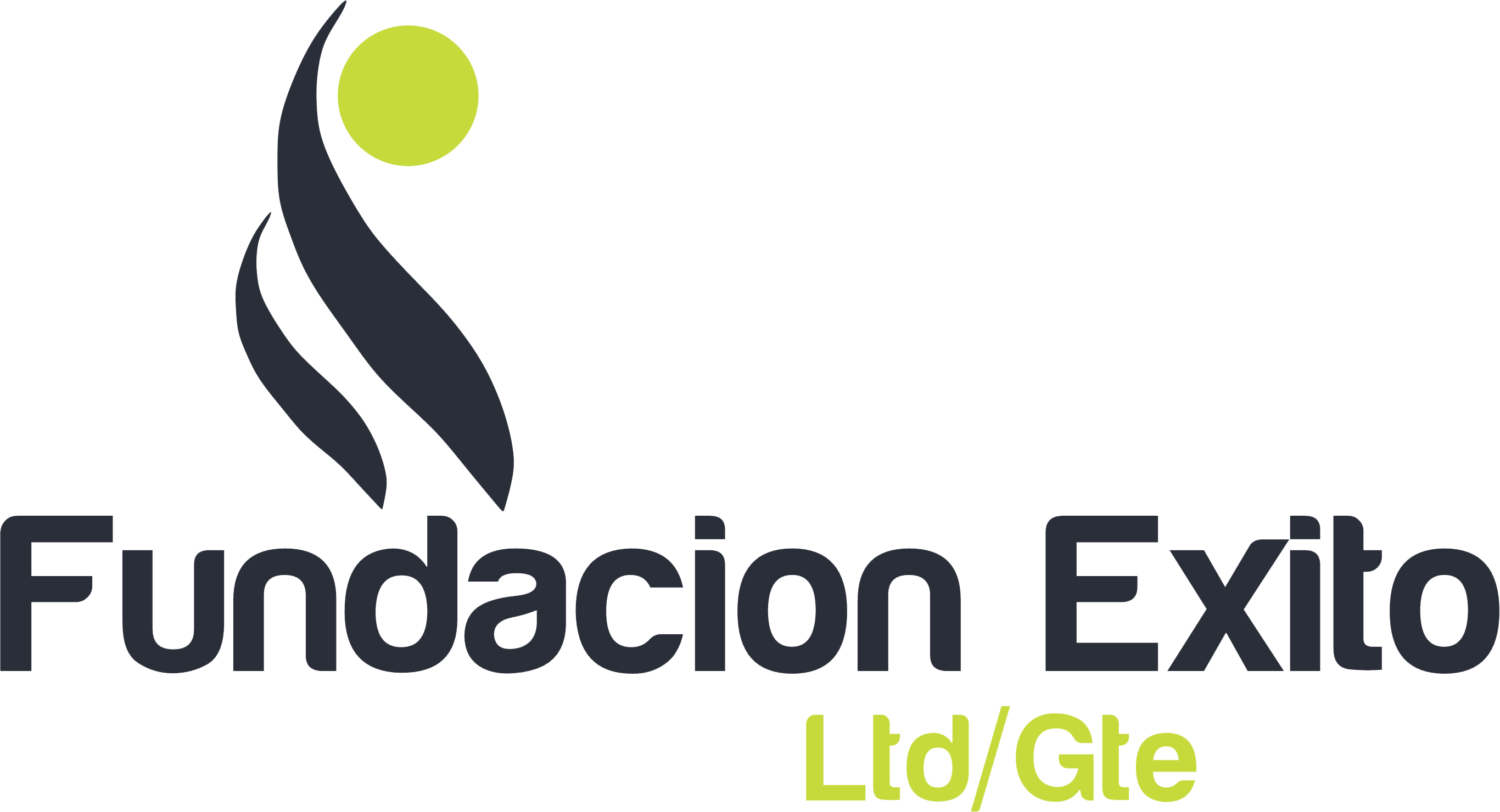 Fundacion Exito Logo